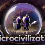 Microcivilization